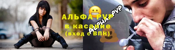 стаф Беломорск