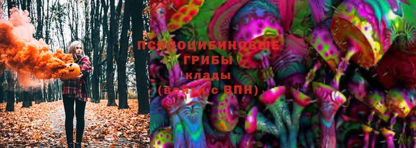 стаф Беломорск