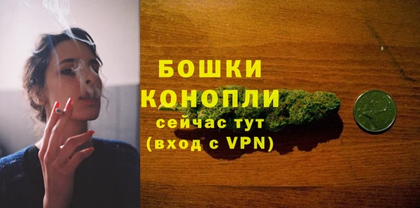 стаф Беломорск