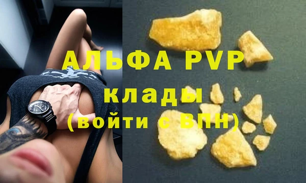 стаф Беломорск
