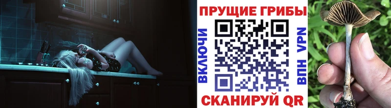 закладки  площадка Telegram  Псилоцибиновые грибы мухоморы  Светлый 